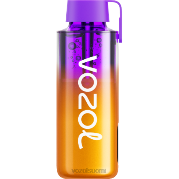 VOZOL Vape Hinta | TTHH235 VOZOL NEON neon 10000 sekoitettuja marjoja 10 000