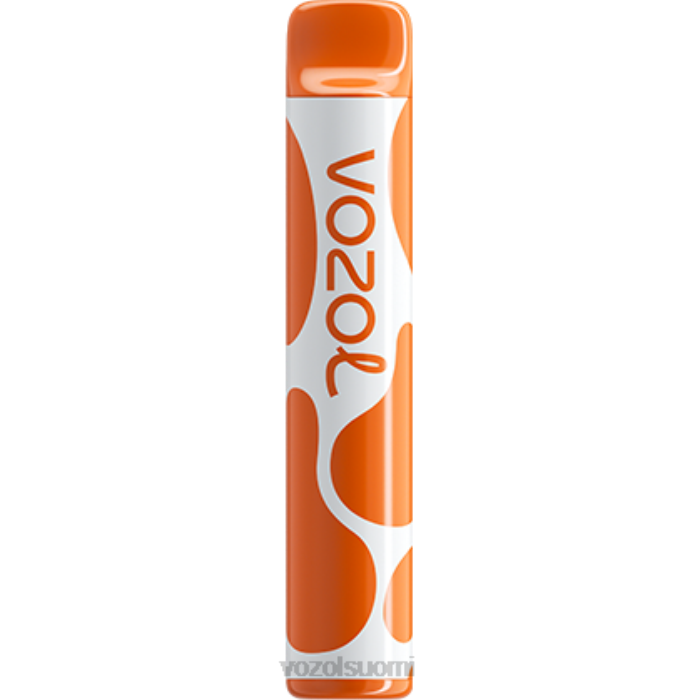 VOZOL Review | TTHH379 VOZOL JOYGO joygo 600 kahvia 600