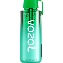 VOZOL Review | TTHH229 VOZOL NEON neon 10000 miami minttu 10 000