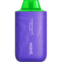 VOZOL Review | TTHH59 VOZOL STAR tähti 6000/8000 v2 metsä marja myrsky 6000/8000 v2