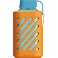 VOZOL Vape Hinta | TTHH305 VOZOL GEAR vaihde 10000 vadelma mandariini 10 000