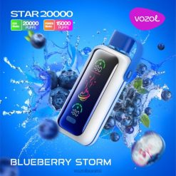 Vozol Vape Hinta - VOZOL STAR 20 000 mustikkamyrsky 4RXT25