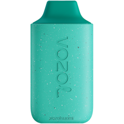 VOZOL Vape Price | TTHH110 VOZOL STAR tähti 6000 viileä minttu 6000