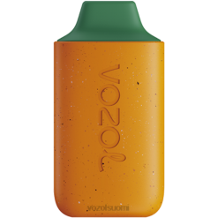 VOZOL Vape Price | TTHH120 VOZOL STAR tähti 6000 mango persikka vesimeloni 6000