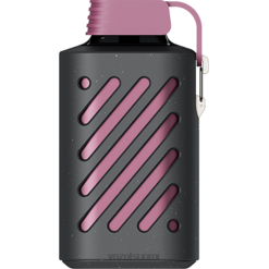 VOZOL Vape Price | TTHH300 VOZOL GEAR vaihde 10000 passionhedelmä vadelma mandariini 10 000