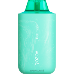 VOZOL Vape Shop | TTHH57 VOZOL STAR tähti 6000/8000 v2 viileä minttu 6000/8000 v2
